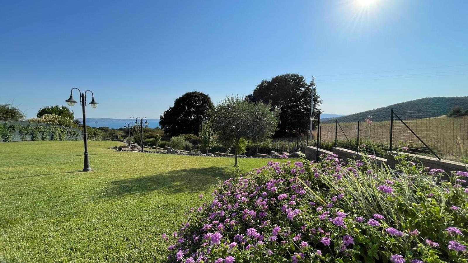 Villa "Lago Blu" Vista Lago Di Bracciano, Con Vasca Idromassaggio Esterna Trevignano Romano Εξωτερικό φωτογραφία